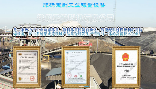 徐州<a href='http://www.guolians.cn' target='_blank'><u>電子皮帶秤</u></a>廠家哪個(gè)好？皮帶秤生產(chǎn)廠家介紹