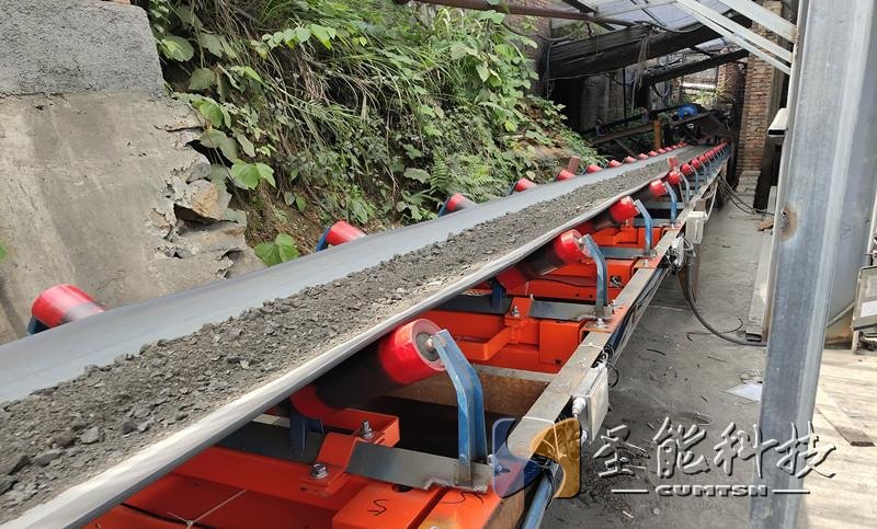 <a href='http://www.guolians.cn' target='_blank'><u>電子皮帶秤</u></a>