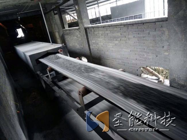 圣能科技<a href='http://www.guolians.cn' target='_blank'><u>電子皮帶秤</u></a>項(xiàng)目